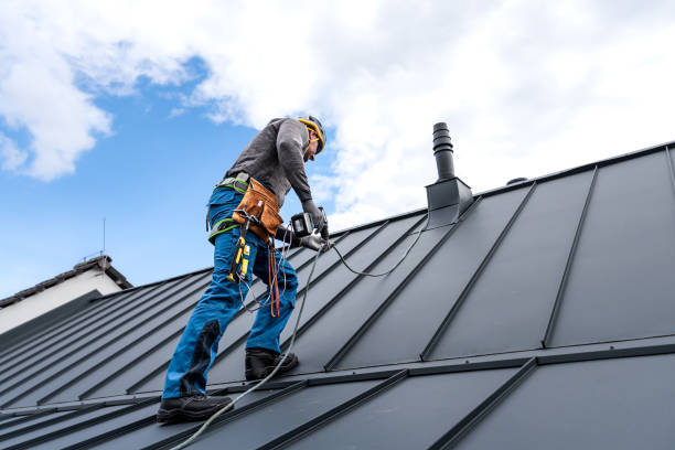 Best Roof Moss and Algae Removal  in Young Harris, GA